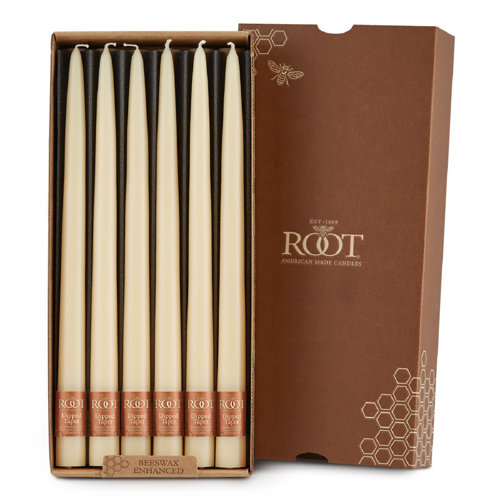Root Candles 12 Piece Unscented Taper Candle Set & Reviews Wayfair